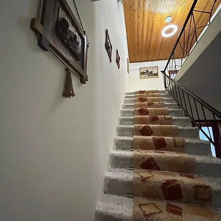 Top Guesthouse Villa